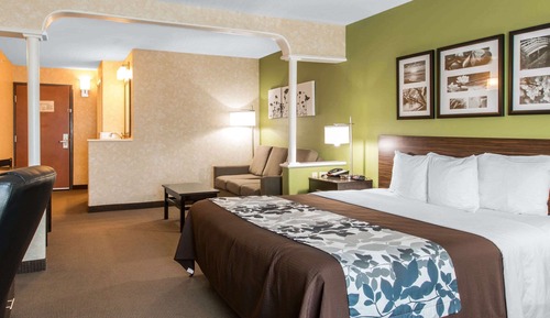 Suite, 1 King-Bett, Whirlpool