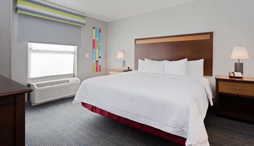 1 Bedroom King Suite Accessible w/ 3x3 Shower