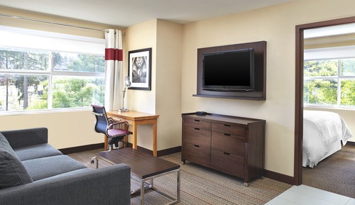 Executive-Suite, 1 King-Bett und Schlafsofa