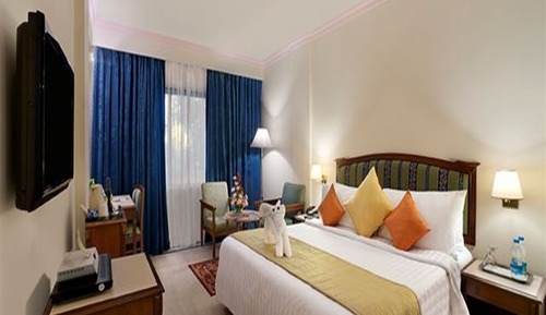 Superior-Einzelzimmer, 1 King-Bett
