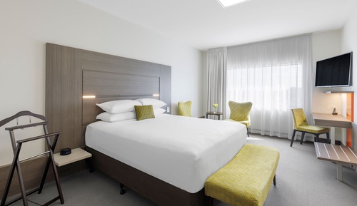 Executive-Zimmer, 1 King-Bett