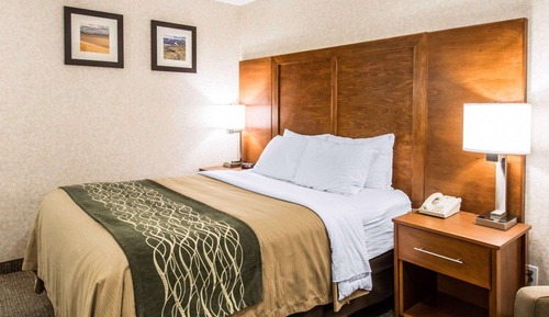 Zimmer, 1 Queen-Bett, barrierefrei, Nichtraucher