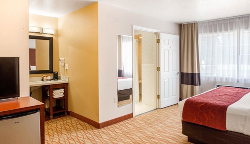 Zimmer, 1 King-Bett, barrierefrei, Nichtraucher (Roll in Shower)