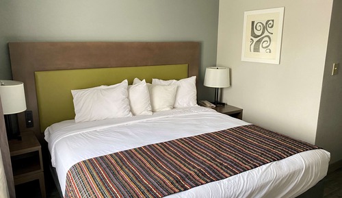 Suite, 1 King-Bett und Schlafsofa, Nichtraucher, Kühlschrank und Mikrowelle (with Sofabed)