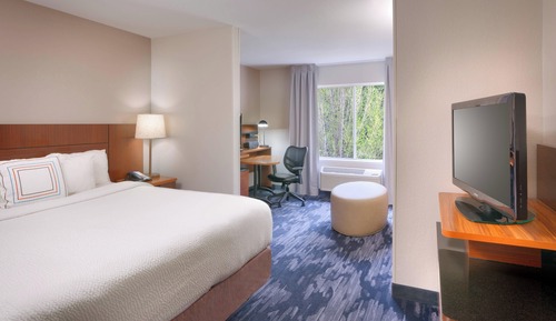 Suite, 1 King-Bett und Schlafsofa (Mobility/Hearing Accessible, Tub)