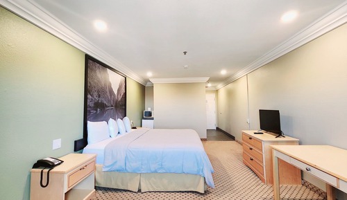 Zimmer, 1 Queen-Bett, Nichtraucher