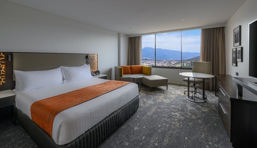 Standardzimmer, 1 King-Bett, Stadtblick