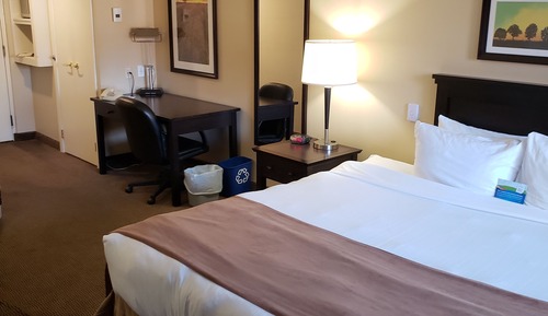 Zimmer, 1 King-Bett, Nichtraucher, Blick auf den Innenhof