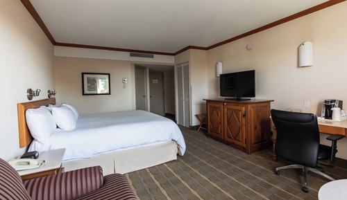 Business-Zimmer, 1 King-Bett