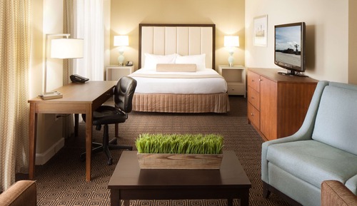 Studio, 1 King-Bett