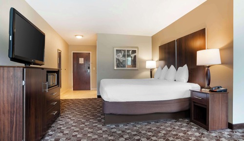 Standardzimmer, 1 King-Bett, Nichtraucher, Kühlschrank und Mikrowelle (with Sofabed)