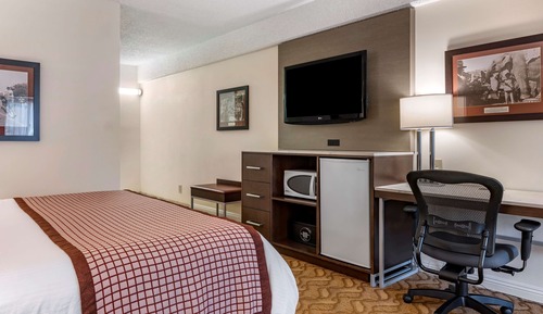 Standardzimmer, 1 King-Bett, Nichtraucher, Balkon (Freeway View)