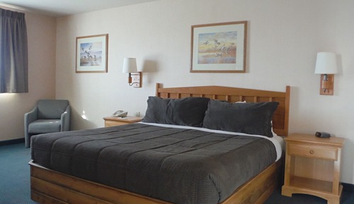 Standard King Suite, Sofa Sleeper