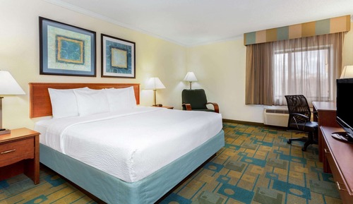 Apartment, 1 King Bed