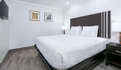 Suite, 1 King-Bett, Nichtraucher, Poolseite (Interior)