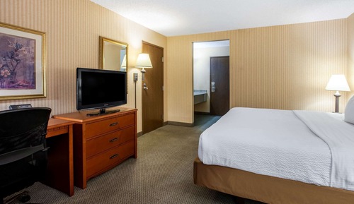 Studiosuite, 1 King-Bett, Nichtraucher