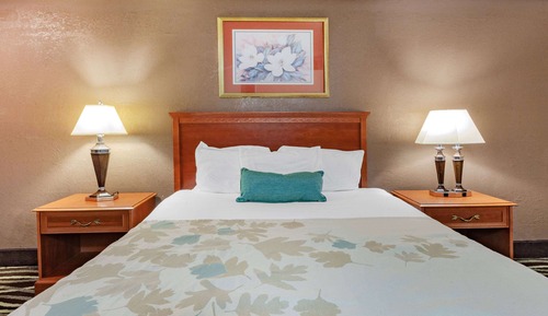 Zimmer, 1 King-Bett, barrierefrei, Nichtraucher (Hearing, Mobility Bathtub w/Grab Bars)