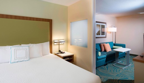 Suite, 1 King-Bett und Schlafsofa, Nichtraucher