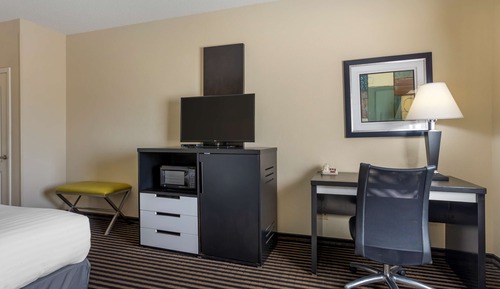 Standardzimmer, 1 King-Bett, Nichtraucher, Kühlschrank und Mikrowelle (Pet Friendly)