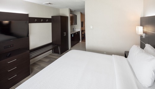 Suite, 1 King-Bett und Schlafsofa