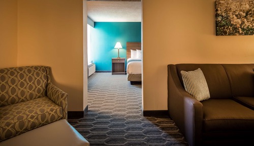 Suite, 1 King-Bett, Nichtraucher, Kühlschrank und Mikrowelle (Pet Friendly)