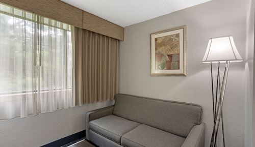 Standardzimmer, 1 King-Bett und Schlafsofa, Nichtraucher, Kühlschrank und Mikrowelle (with Sofabed)