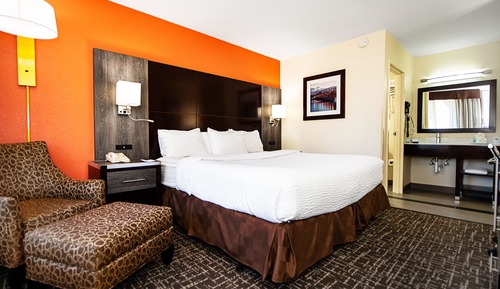 Standard-Einzelzimmer, 1 King-Bett, Nichtraucher