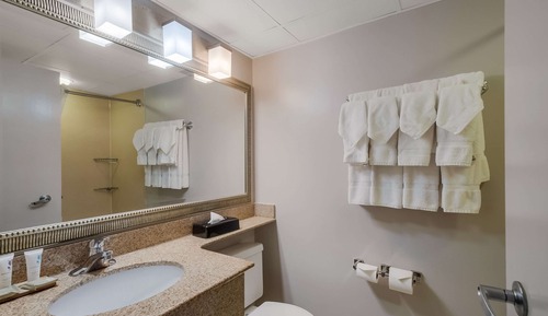 Suite, 1 Schlafzimmer, Nichtraucher