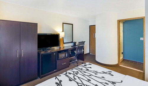 Standardzimmer, 1 Queen-Bett, Nichtraucher