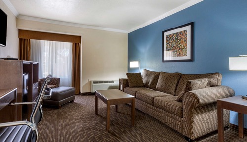 Suite, 1 King-Bett und Schlafsofa, Nichtraucher, Küche (with Sofabed)