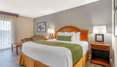 Standardzimmer, 1 King-Bett, Nichtraucher, Kühlschrank und Mikrowelle (with Sofabed)