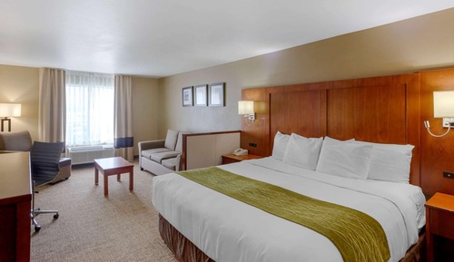 Suite, 1 King-Bett und Schlafsofa, Nichtraucher (Upgrade)