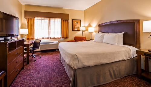 Standardzimmer, 1 King-Bett, Nichtraucher, Kühlschrank (Pet Friendly)