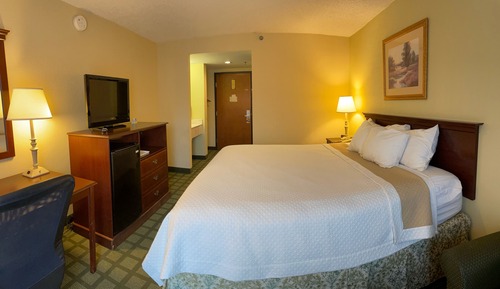 Business-Zimmer, 1 King-Bett, Nichtraucher (South Tower)