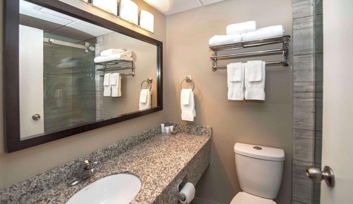 Standardzimmer, 1 King-Bett, Nichtraucher, Whirlpool