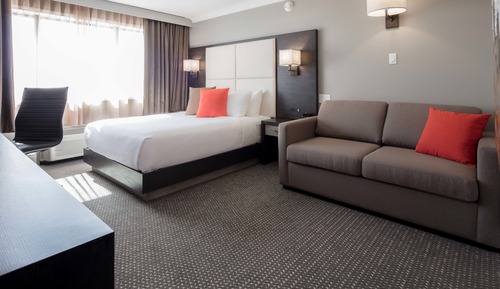 Premium-Zimmer, 1 Queen-Bett und Schlafsofa