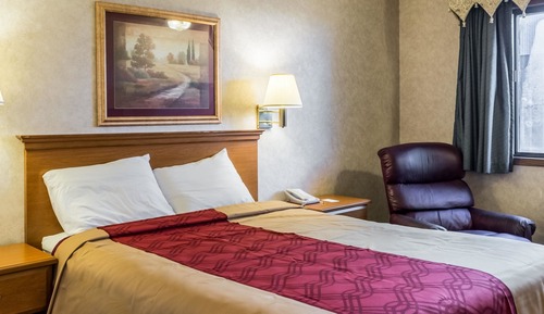 1 Queen Bed, Efficiency, Nonsmoking, Accessible