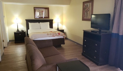 Studiosuite, 1 Queen-Bett, barrierefrei, Nichtraucher