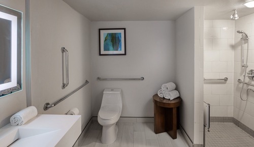 Standardzimmer, 1 King-Bett, barrierearme Badewanne (Communications)