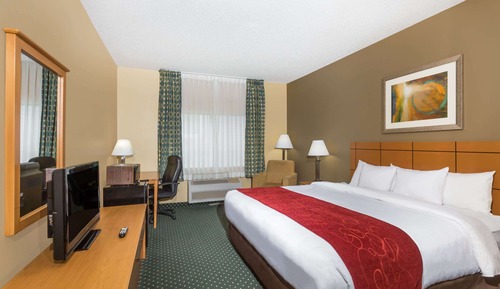 Studiosuite, 1 King-Bett, Nichtraucher