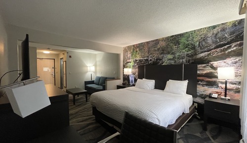 Efficiency Suite King Non Smoking 1 person Sofa bed