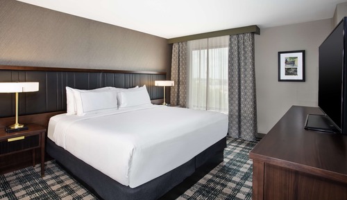 Suite, 1 Schlafzimmer