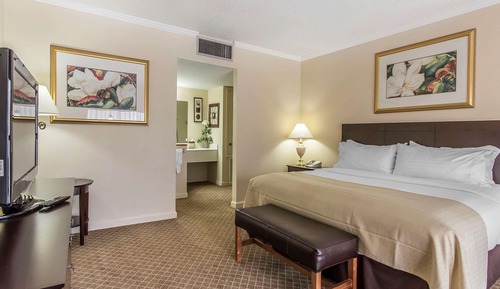 Suite, 1 King-Bett, Nichtraucher