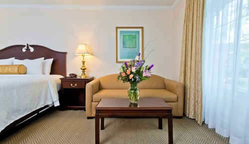 Zimmer (Parkside King)