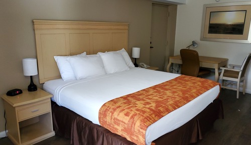 Standardzimmer, 1 Queen-Bett, Kühlschrank und Mikrowelle