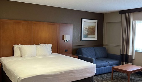 Suite, 1 King-Bett, Nichtraucher, Kühlschrank und Mikrowelle (Larger Room)