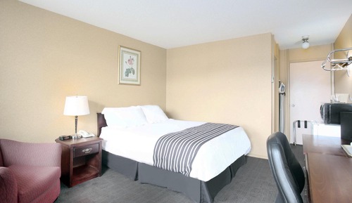 Standardzimmer, 1 Queen-Bett