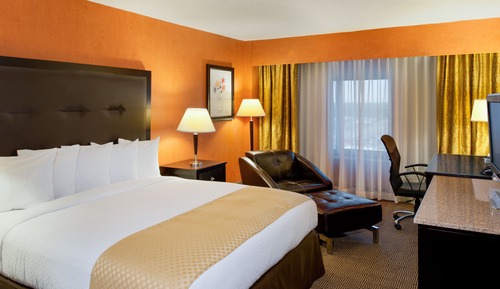 Zimmer, 1 King-Bett, barrierefrei (Mobility & Hearing, Roll-in Shower)