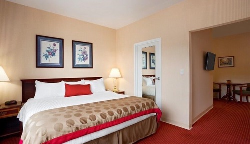 Studiosuite, 1 King-Bett, Nichtraucher