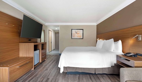 Standardzimmer, 1 King-Bett, Nichtraucher, Kühlschrank (with Sofabed)